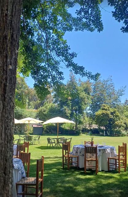 Mesas a la sombra para un almuerzo de empresa